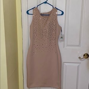 Calvin Klein Women’s Blush Rose Gold Sequin Dress